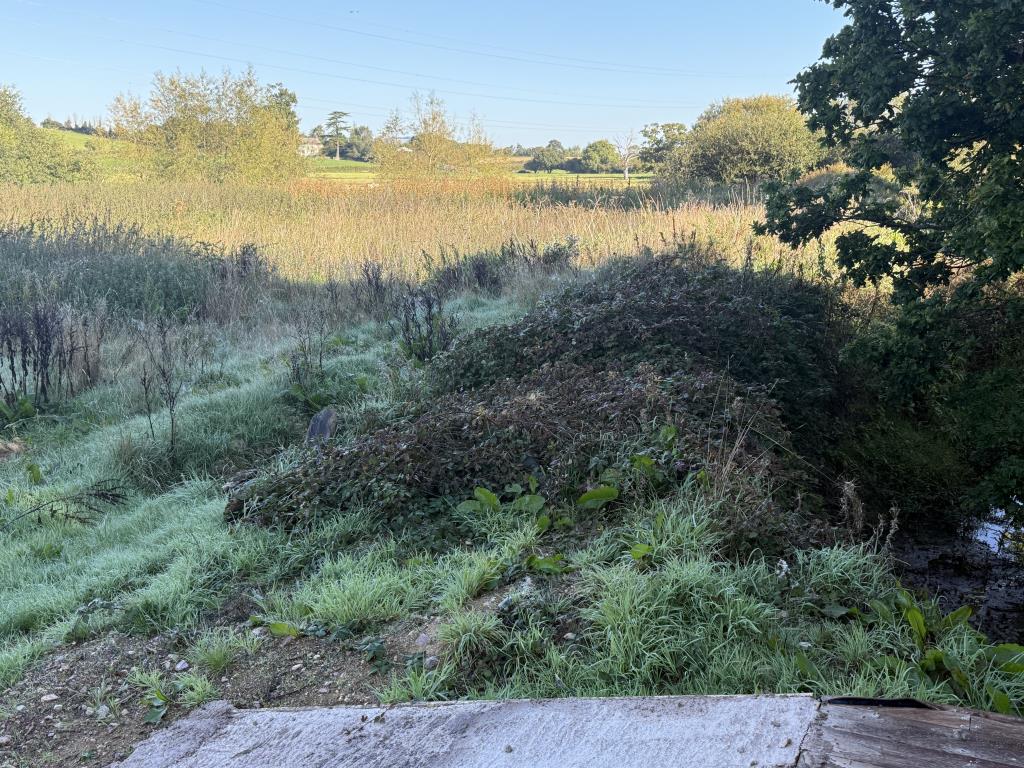 Lot: 22 - RIVER MEADOW PASTURE ADJOINING THE RIVER EXE WITH ROAD ACCESS - Land